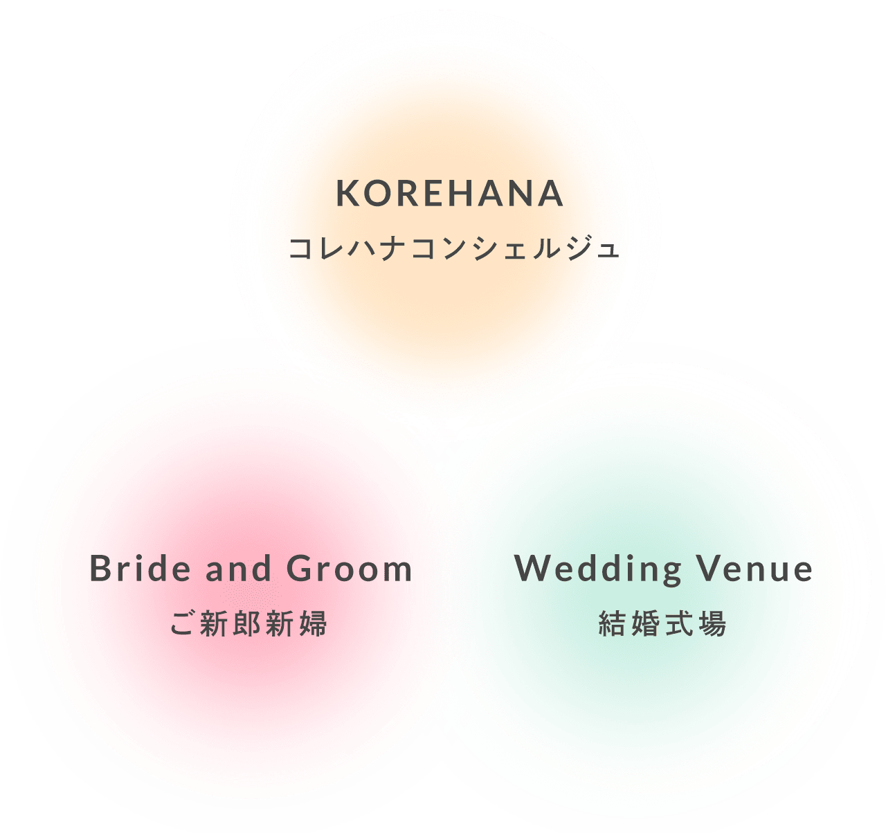 これから花嫁とは？